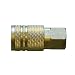 413TnuhTMLL. SL75 ★★ Interstate Pneumatics CH441B 1/4 x 1/4 Inch MPT Industrial Brass Coupler