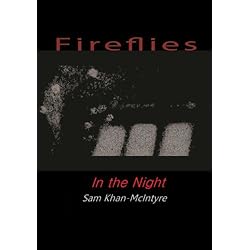 Fireflies in the Night