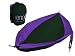 Eagles Nest Outfitters DoubleNest Hammock (Purple/Forest)