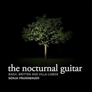 The Nocturnal Guitar cover