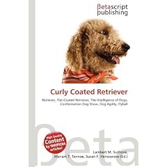 Curly Coated Retriever