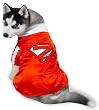 MEDIUM - MIGHTY MUTT - Dog Halloween Costume