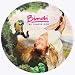 Party Supplies - Bindi the Jungle Girl 7