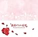 オリジナルサウンドトラック「薔薇のない花屋」