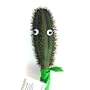 Cactus Buddy Back Scratcher - 22 inches
