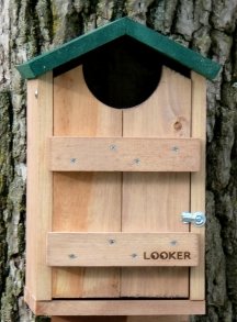 Looker Products Screech Owl Flicker House