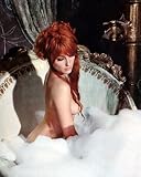 SHARON TATE 8x10 COLOR PHOTO
