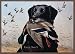 Associated Weavers "King Buck" (Black Lab) Wildlife Rug 37" x 52"