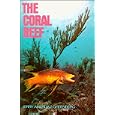 Coral Reef by Jerry Greenberg