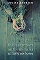 The Last Report on the Miracles at Little No Horse