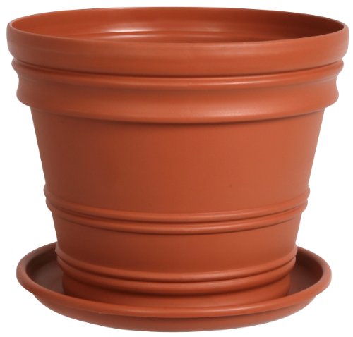 Fiskars 20-6012289 22 Rolled Rim Pot, Clay