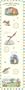 3780 - Guess How Much I Love You Growth Chart