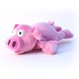 "Wally" the Flying Pig