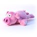  Wally the Flying Pig