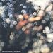 Musique : Obscured By Clouds