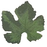 Sisson Imports Leaves, Small Green, Pack of 100