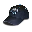 Carolina Panthers Classic Hat (Wool Blend)