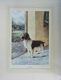 ANDREW BENFIELD COCKER SPANIEL WAITING 27.23 X 20.5 