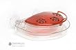 Jewel Box Hummingbird Feeder