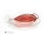 Jewel Box Hummingbird Feeder