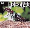 日本の昆虫 DVD映像図鑑