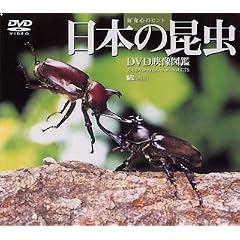 日本の昆虫 DVD映像図鑑