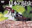 日本の昆虫 DVD映像図鑑