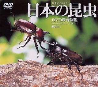 日本の昆虫 DVD映像図鑑