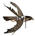 Peregrine Falcon Wind Spinner