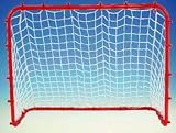 Goal Steel Hockey