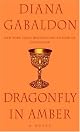 Dragonfly in Amber