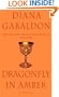 Dragonfly in Amber
