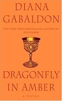 Dragonfly in Amber