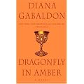 Dragonfly in Amber