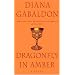 Dragonfly in Amber
