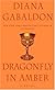 Dragonfly in Amber