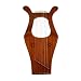 Kinnor Harp with Case