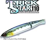 ダイス トリックスター110 ブルーバックイワシ/マグマホロ 110mm 9910110002