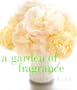 A Garden of Fragrance