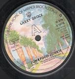 JUNKFOOD JUNKIE 7 INCH (7" VINYL 45) UK WARNER BROS 1975