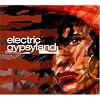 Electric Gypsyland