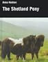 The Shetland Pony (Allen Breed Series)