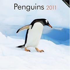 Penguins 2011 Calendar