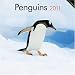 Penguins 2011 Calendar