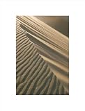 Great Sand Dunes National Monument, Colorado, USA poster print,10.7 in. x 14 in.
