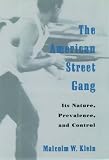 The American Street Gang: Its Nature, Prevalence, and Control (Studies in Crime and Public Policy)