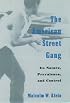 The American Street Gang: Its Nature, Prevalence, and Control (Studies in Crime and Public Policy)