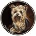 CoasterStone Yorkie Coasters