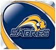 Buffalo Sabres Mouse Pad - Hockey Sports Merchandise