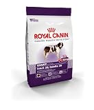Royal Canin Dry Dog 35-Pound Bag